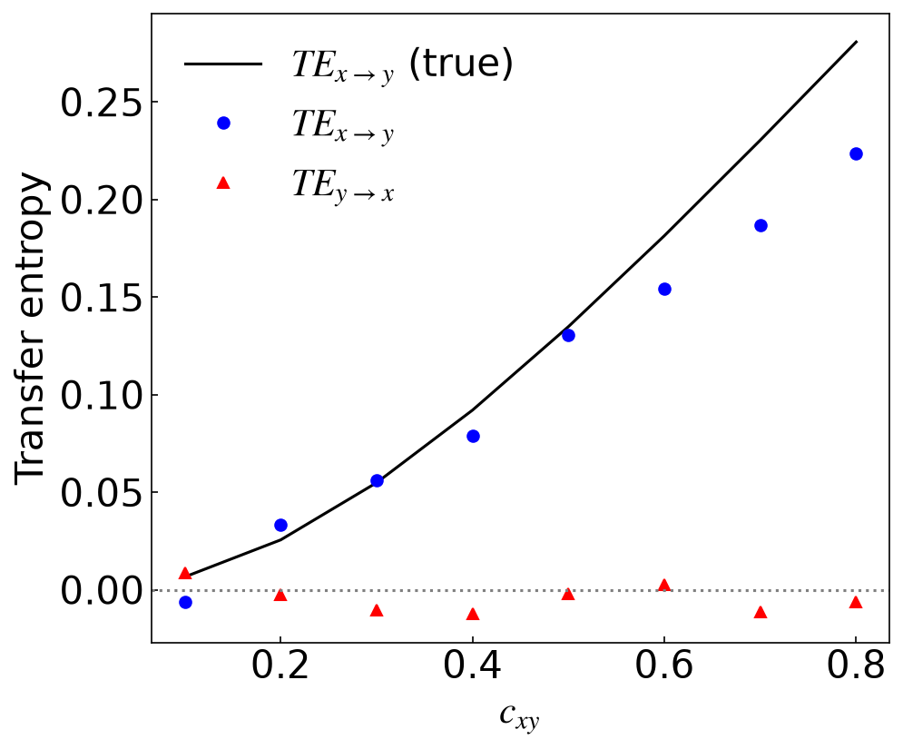 Transfer entropy validation